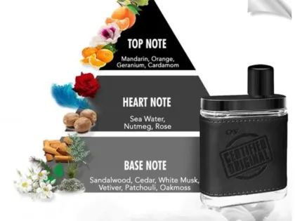 40258512-2_3-cfs-cfs_perfume_certified-original-black_100ml
